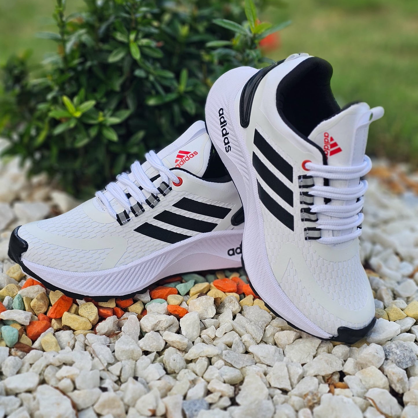 Deportivo Running Unisex + Regalo de 3 Pares de Medias